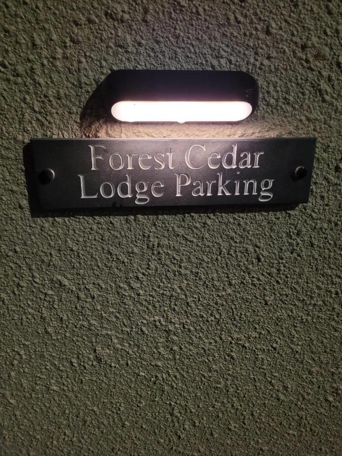 Forest Cedar Lodge, Forest Of Dean Cinderford Kültér fotó